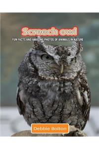 Screech Owl: Fun Facts and Amazing Photos of Animals in Nature