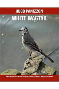 White Wagtail: Amazing Photos & Fun Facts Book about White Wagtail for Kids