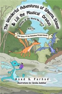 Story of the Vanishing Dragon World