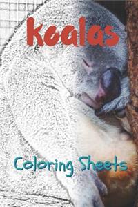Koala Coloring Sheets