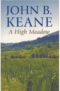 A High Meadow