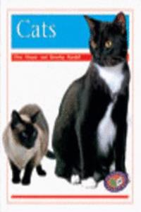 Cats PM Non Fiction Amimal Facts Level 14&15 Pets Orange