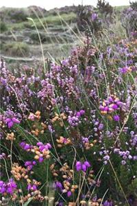 Blooming Purple Heather in Scotland Journal