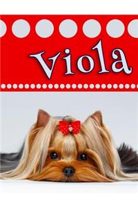 Viola