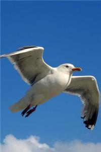 Seagull Notebook