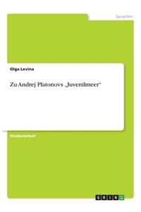 Zu Andrej Platonovs 