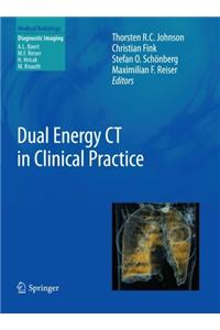 Dual Energy CT in Clinical Practice