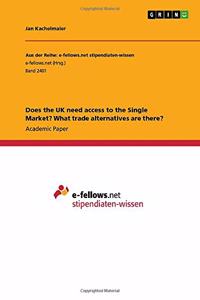 Does the UK need access to the Single Market? What trade alternatives are there?