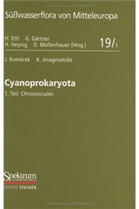 Cyanoprokaryota