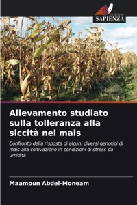 Allevamento studiato sulla tolleranza alla siccità nel mais