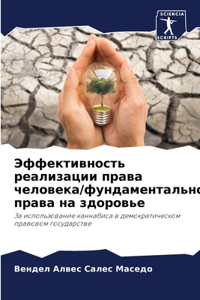 Эффективность реализации права человека/