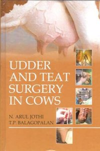 Udder And Teat Surgery In Cows