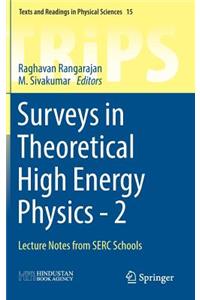 Surveys in Theoretical High Energy Physics - 2