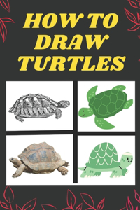 How To Draw Turtles