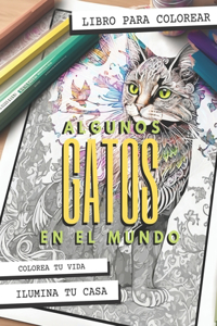 Algunos Gatos en el Mundo