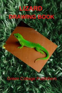 Lizard Drawing Book
