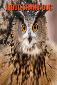 Hibou Grand-Duc