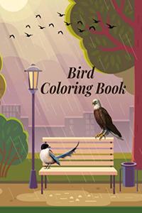Birds Coloring Book