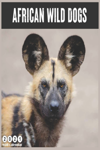 African Wild Dogs 2021 Wall Calendar