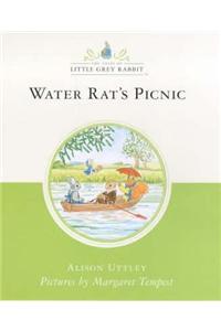 Little Grey Rabbits Water Rats Picnic
