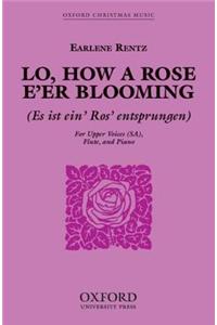 Lo, how a Rose e'er blooming