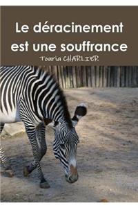 Le Deracinement Est Une Souffrance