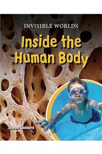 Inside the Human Body