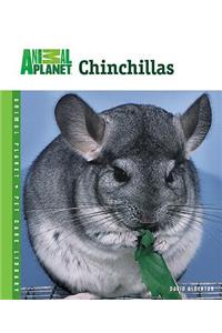 Chinchillas