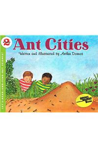 Ant Cities