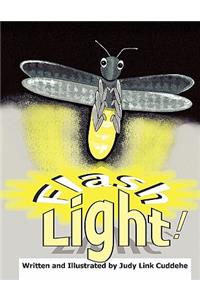Flash Light!