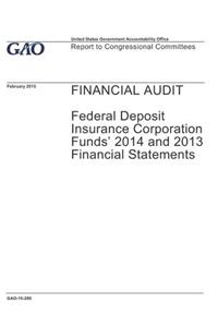 Financial Audit