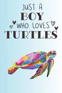Just A Boy Who Loves Turtles
