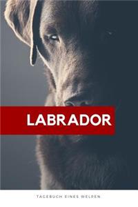 Labrador Tagebuch eines Welpen