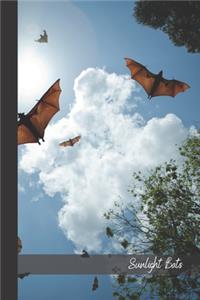 Sunlight Bats: small lined Bat Notebook / Travel Journal to write in (6'' x 9'') 120 pages