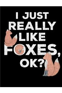 I Just Really Like Foxes OK?