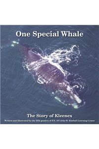 One Special Whale