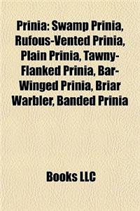 Prinia