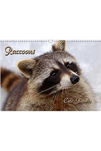 Raccoons / UK-Version 2018