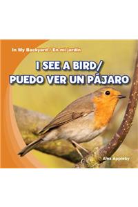 I See a Bird / Puedo Ver Un Pájaro