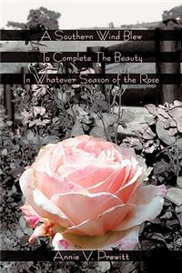 Southern Wind Blew to Complete the Beauty in Whatever Season of the Rose