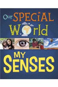 Our Special World: My Senses