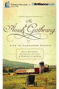 An Amish Gathering