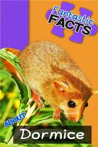 Fantastic Facts about Dormice: Illustrated Fun Learning for Kids