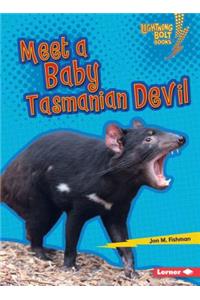 Meet a Baby Tasmanian Devil