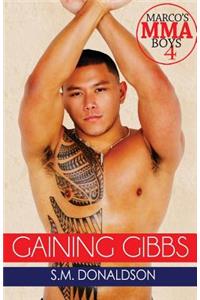 Gaining Gibbs