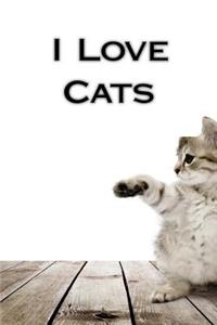 I Love Cats