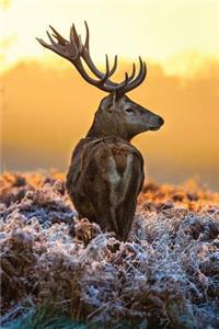 Stag in the Frost Notebook