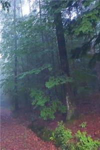 Foggy Morning Woodland Path Journal