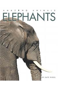 Elephants