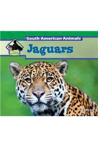 Jaguars